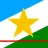 Bandeira de Roraima